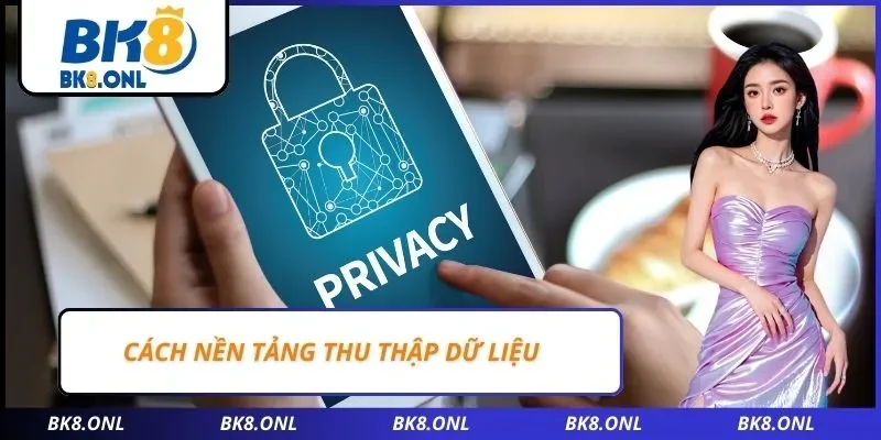 Cách nền tảng thu thập dữ liệu